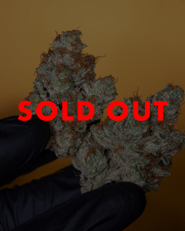 Sold-out-DM