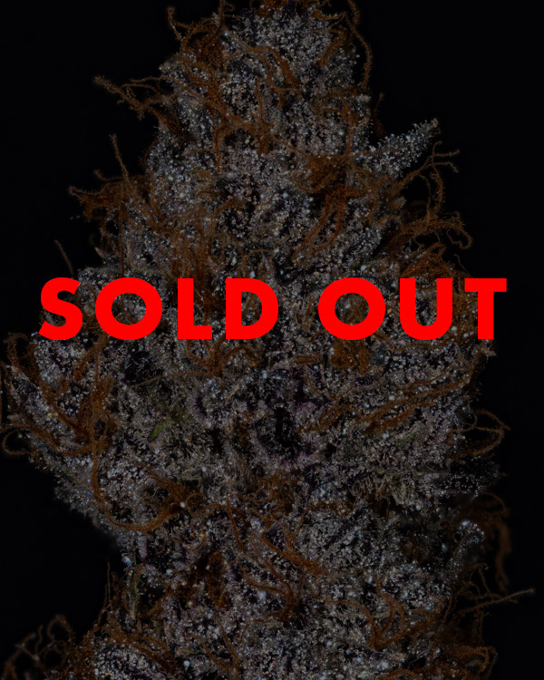 garth-sold-out
