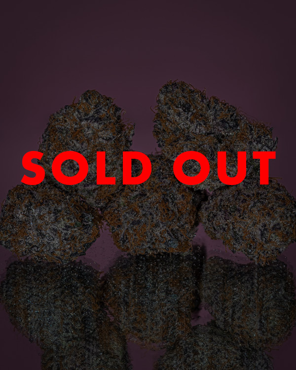 gdg-sold-out