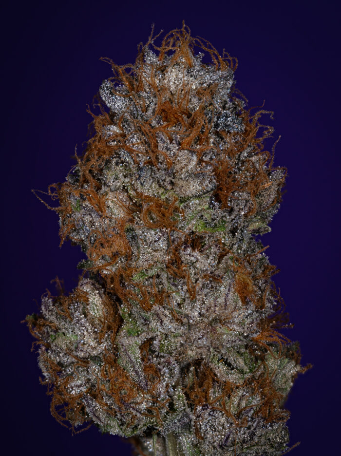 Stacked from 26 images. Method=C (S=3)