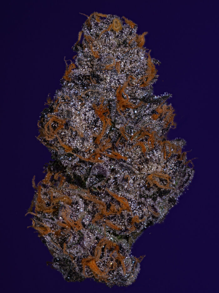 Stacked from 23 images. Method=C (S=3) Stacked from 23 images. Method=C (S=3)