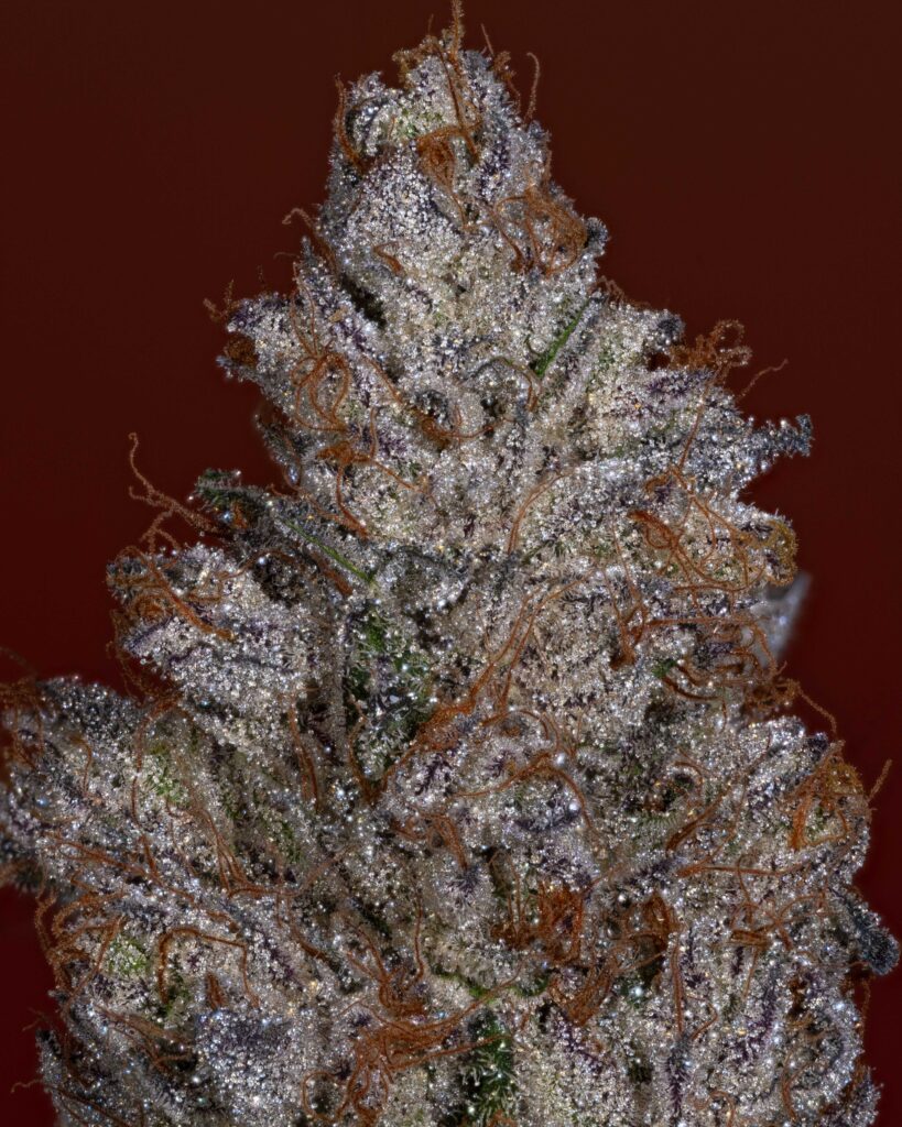 Stacked from 24 images. Method=C (S=4)