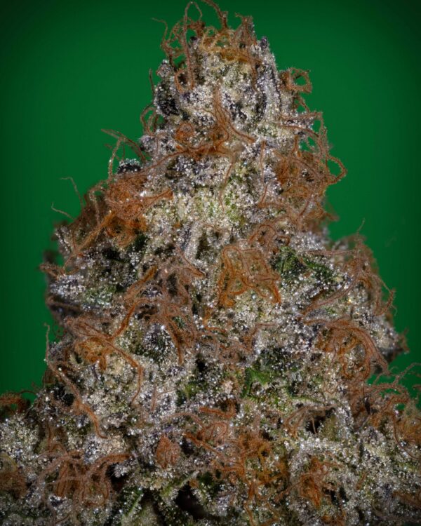 Stacked from 24 images. Method=C (S=4)