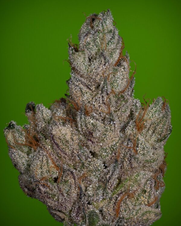 Stacked from 25 images. Method=C (S=4)