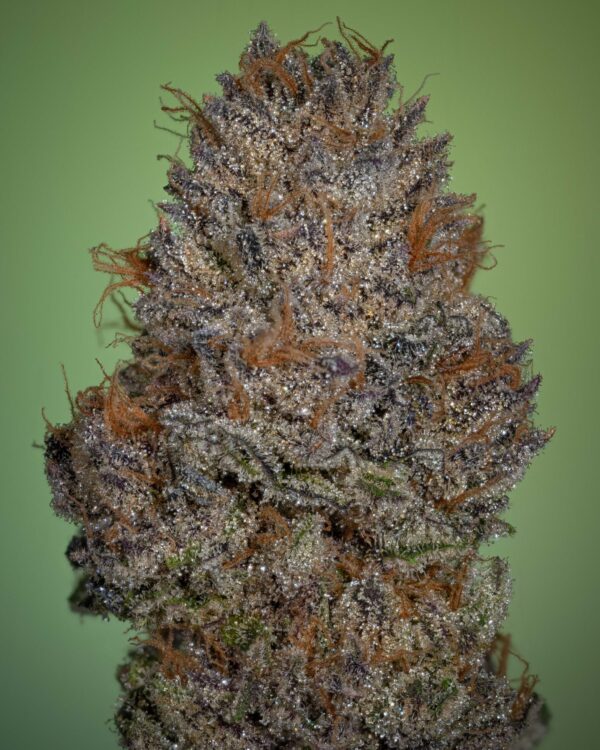 Stacked from 24 images. Method=C (S=4)