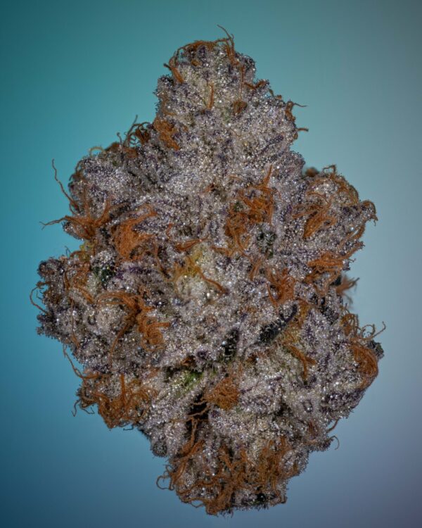 Stacked from 23 images. Method=C (S=4)