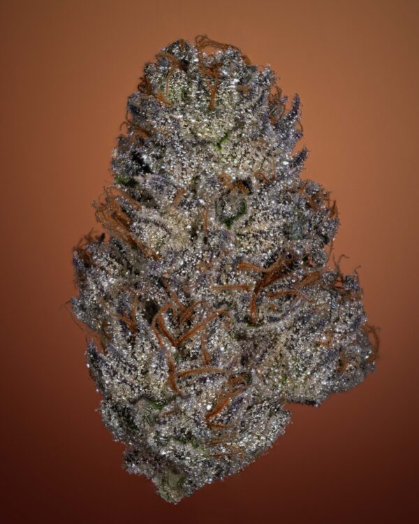 Stacked from 24 images. Method=C (S=4)