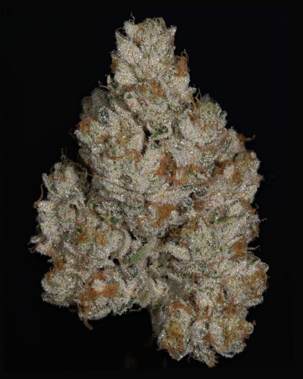 Stacked from 22 images. Method=C (S=4)