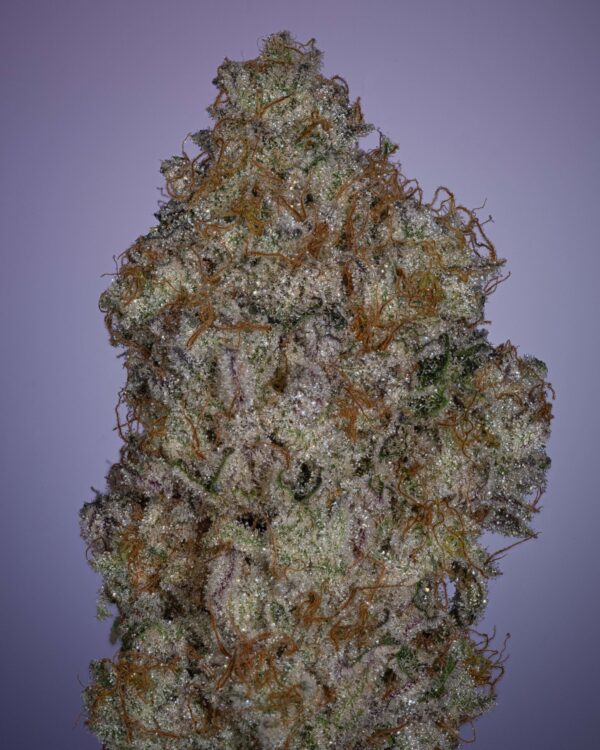 Stacked from 23 images. Method=C (S=4)