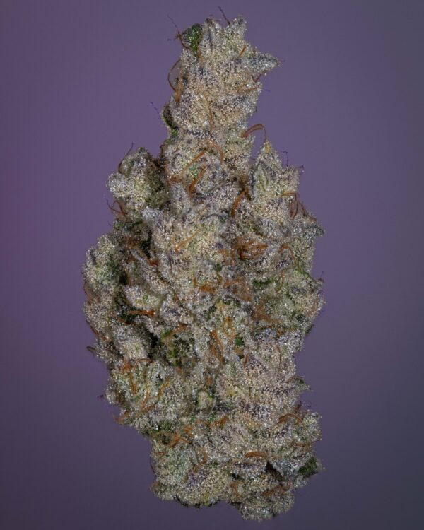 Stacked from 24 images. Method=C (S=4)