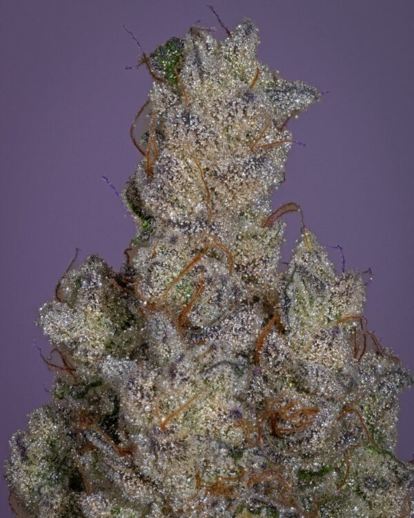 Stacked from 24 images. Method=C (S=4)