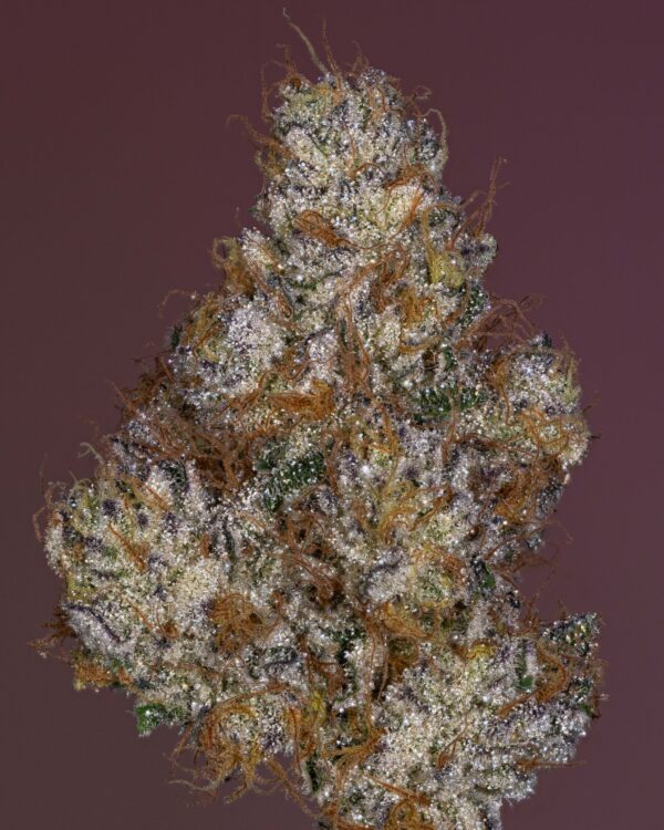 Stacked from 24 images. Method=C (S=4)