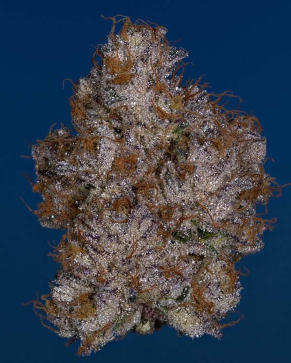 Stacked from 22 images. Method=C (S=4)