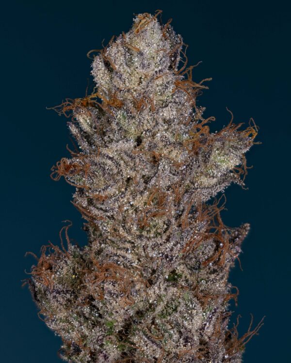 Stacked from 23 images. Method=C (S=4)