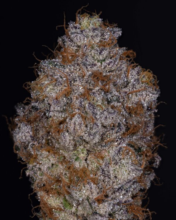 Stacked from 21 images. Method=C (S=4)