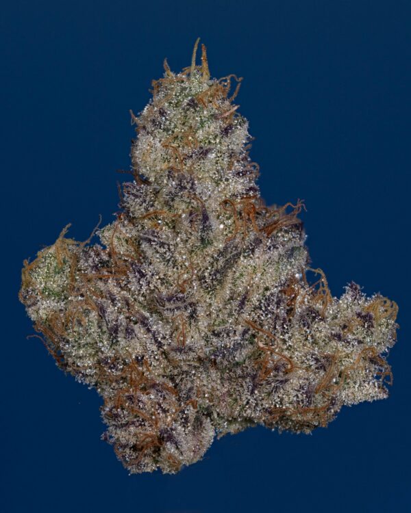 Stacked from 23 images. Method=C (S=4)